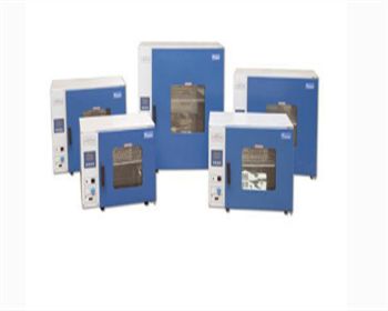 臺式電熱恒溫鼓風干燥箱DHG-9000